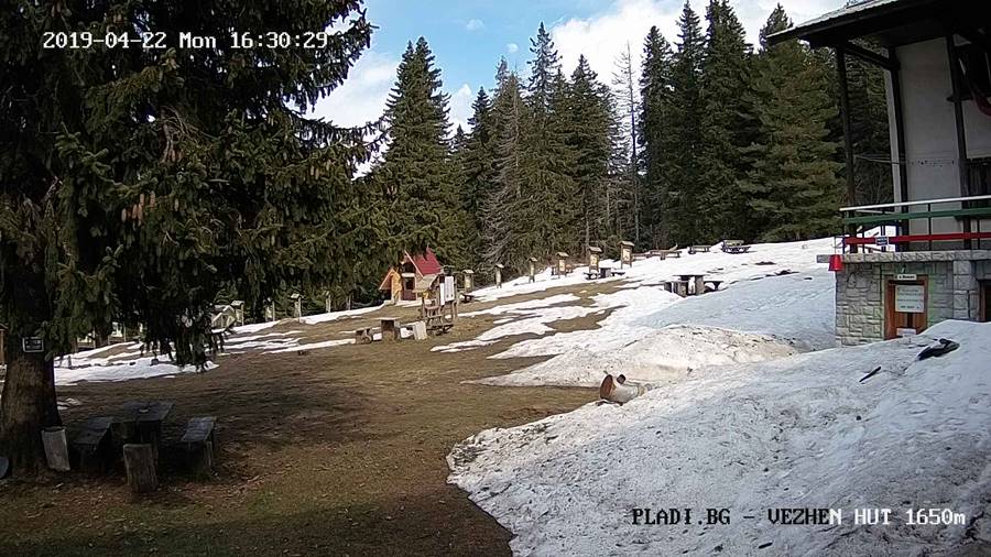 хижа Вежен времето уеб камера на живо, Стара планина, местност Царичина, Балкана live online camera